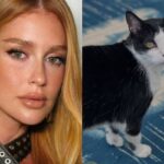 Marina Ruy Barbosa e seu gato