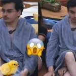 Dudu Camargo em A Fazenda 17